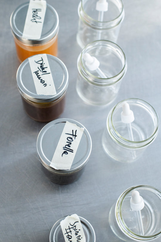 Metamorphose – Ein Abend in der Versuchsküche des etz